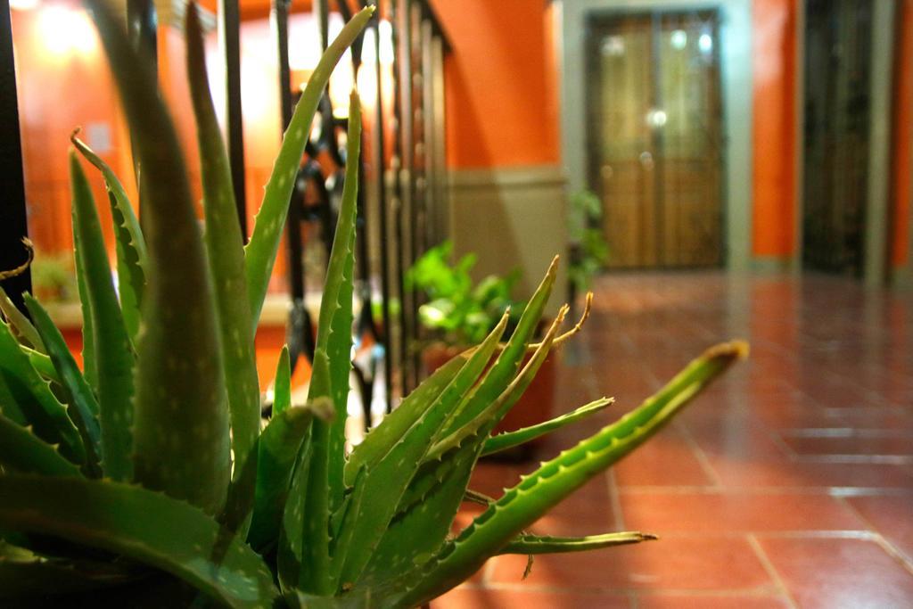 Parador San Fernando Oaxaca Εξωτερικό φωτογραφία